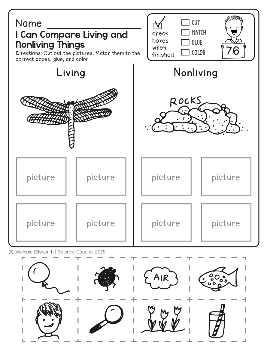 FREEBIE NO PREP Kindergarten Science Doodle Printables Free Worksheets Library FREEBIE NO PREP Kindergarten Science Doodle Printables Free Worksheets Library