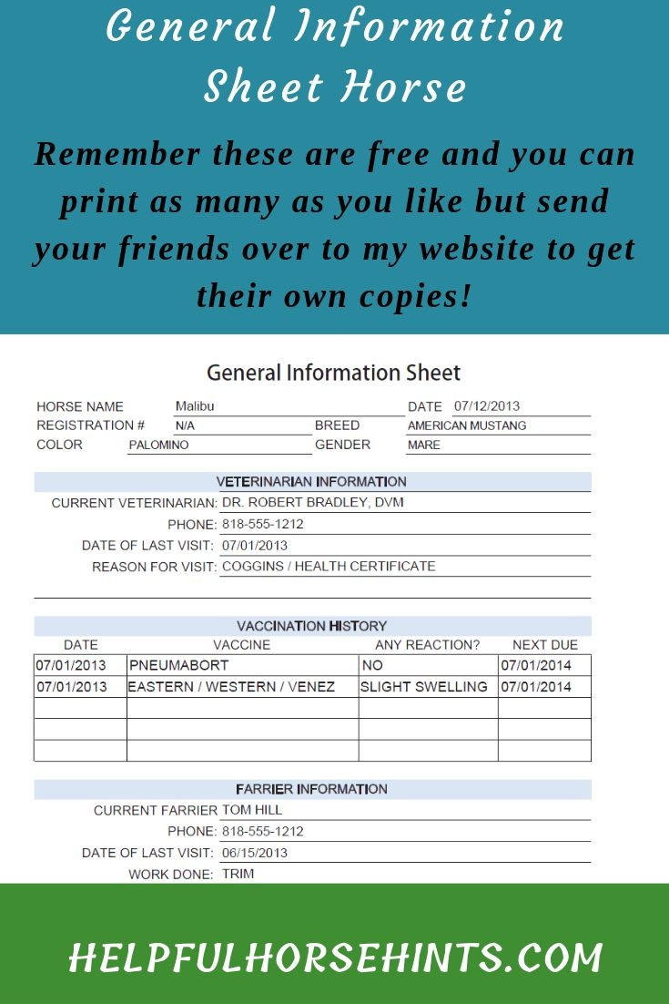 General Information Sheet General Information Sheet