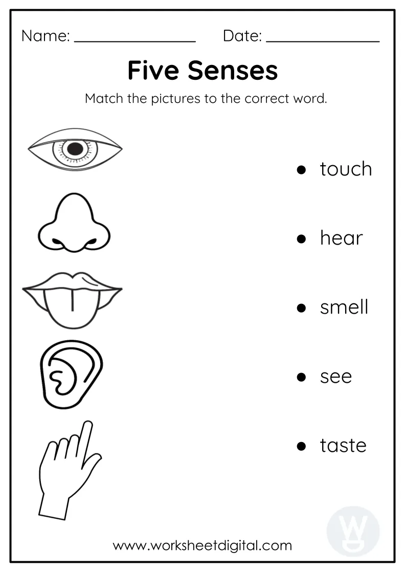 Grade 1 Science Worksheets Grade 1 Science Worksheets