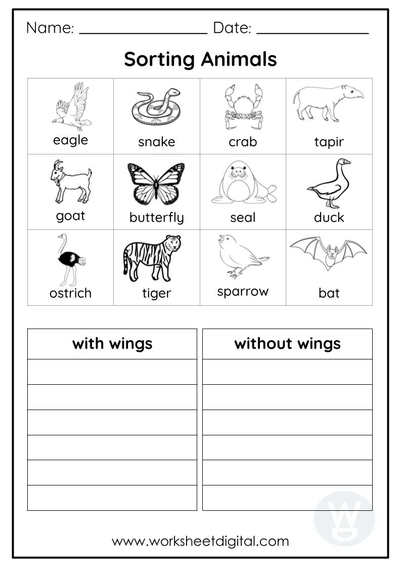 Grade 2 Science Worksheets Grade 2 Science Worksheets