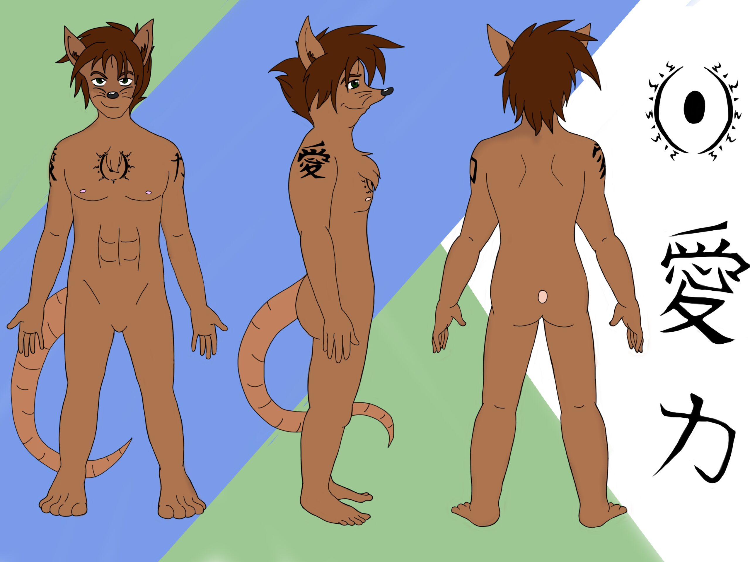 Jaxter Reference Sheet Commission Weasyl Jaxter Reference Sheet Commission Weasyl