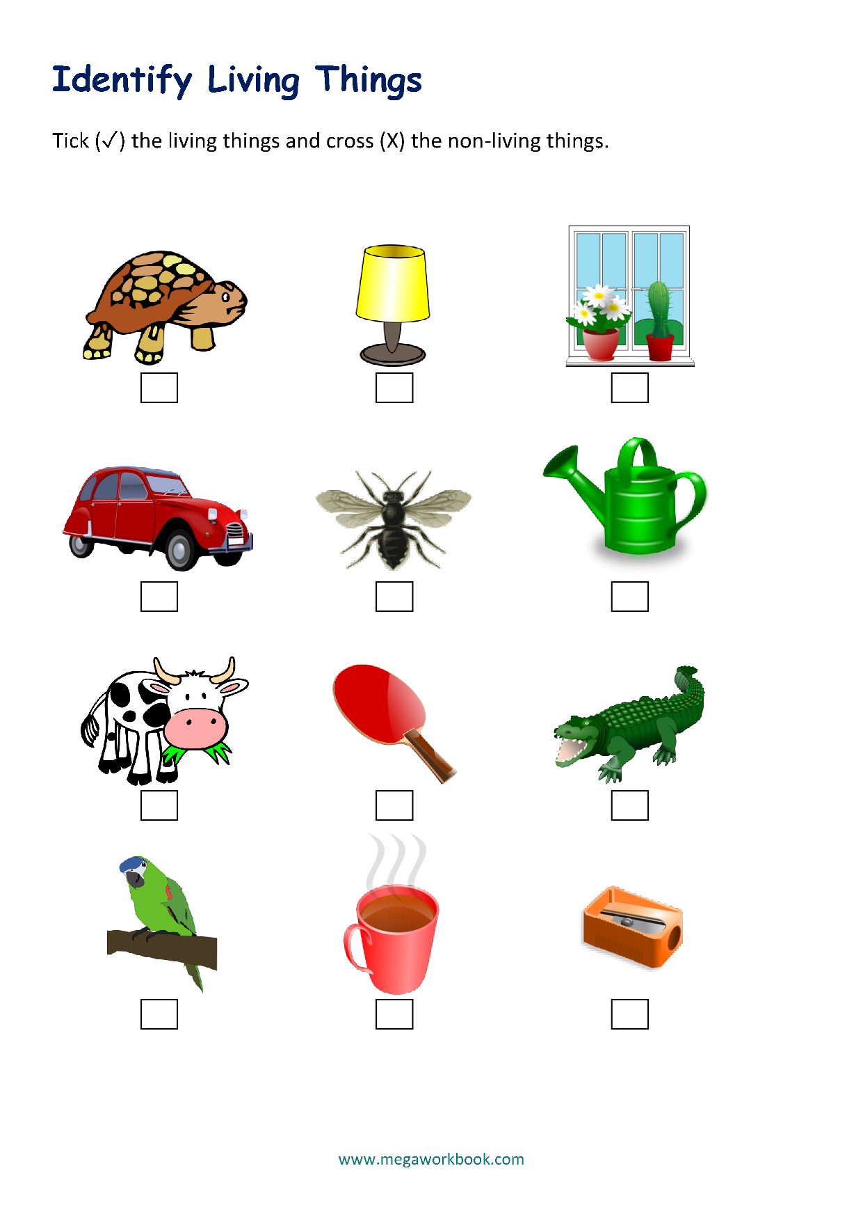 living and nonliving worksheets