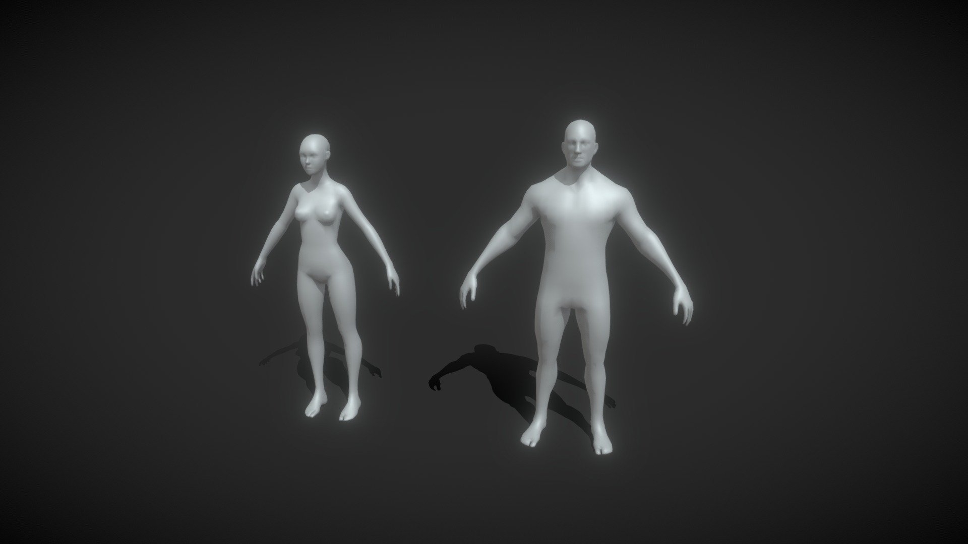 Male And Female Body Base Mesh 3D Model 3D Model By 3DDisco 3DDisco b71ac8a 