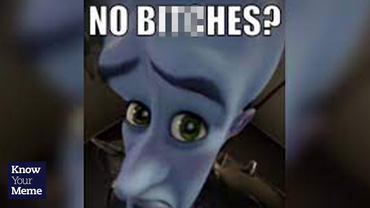 No Bitches Know Your Meme No Bitches Know Your Meme