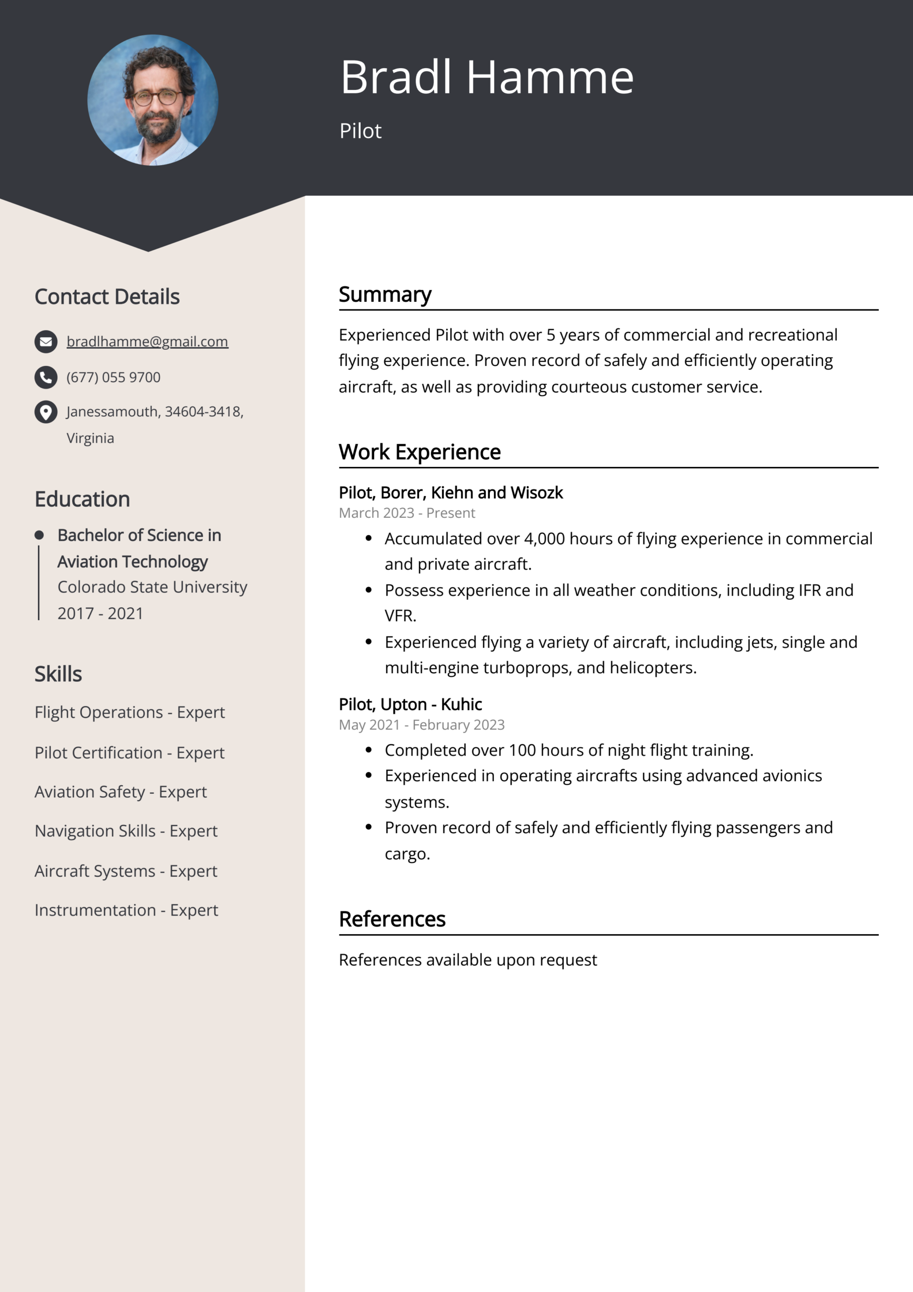 Pilot Resume Examples Template 20 Tips 