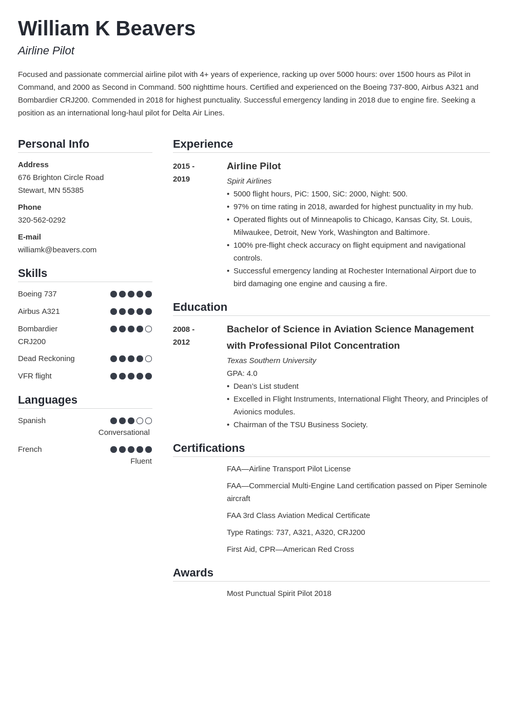 pilot resume template