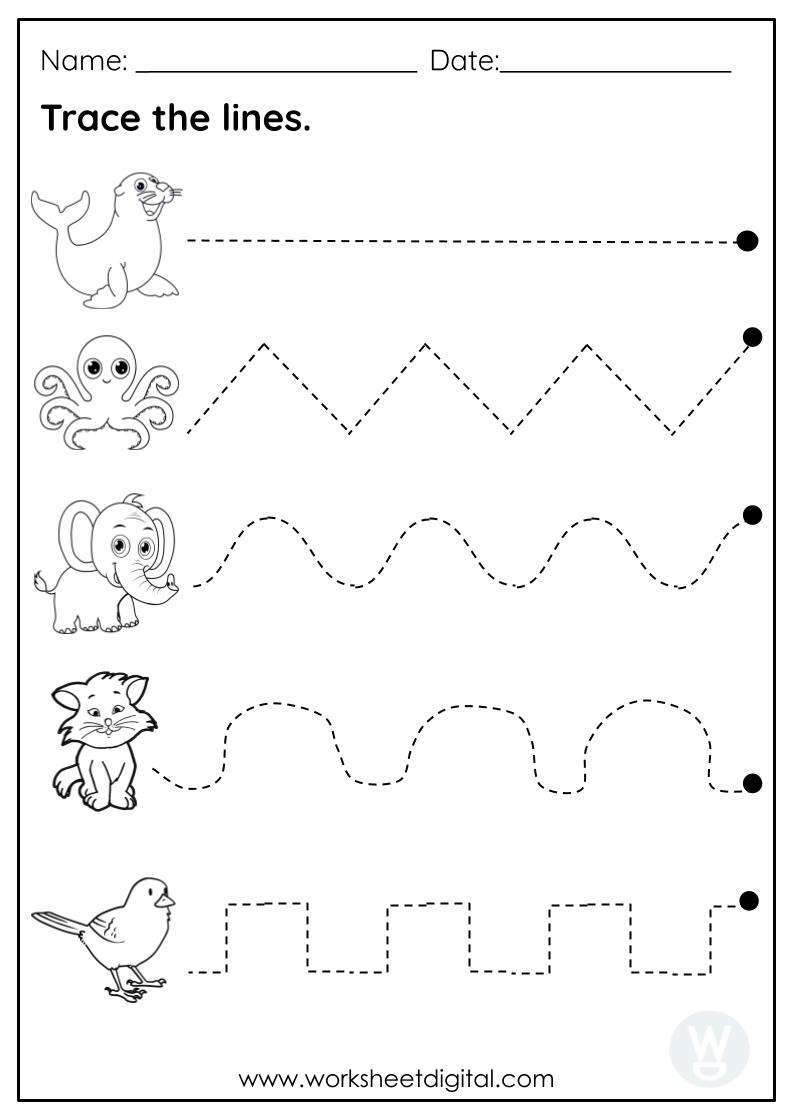 Pre Writing Practice Worksheet Digital 1 Teacher Made Resources