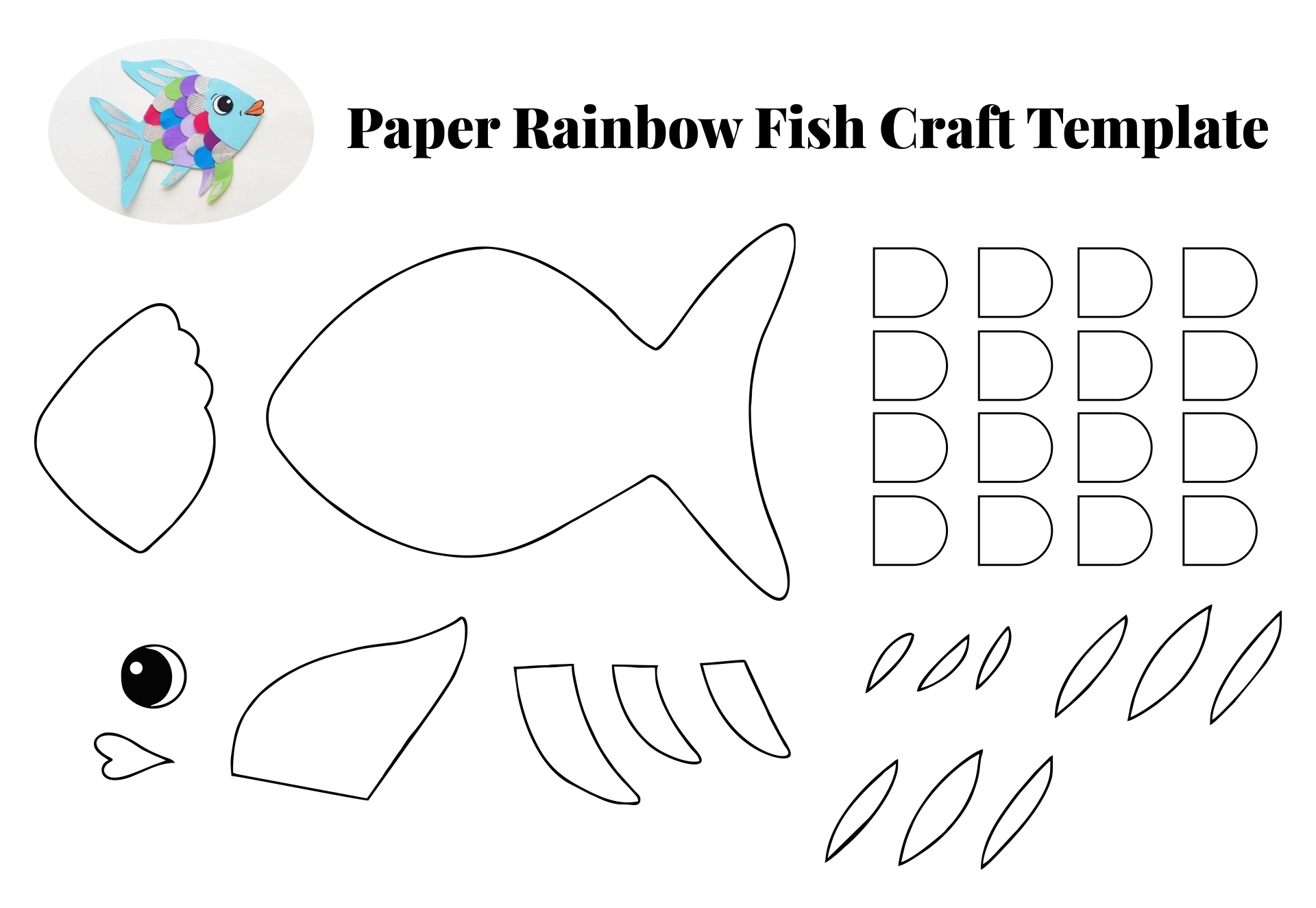 rainbow fish template to colour rainbow fish template to colour