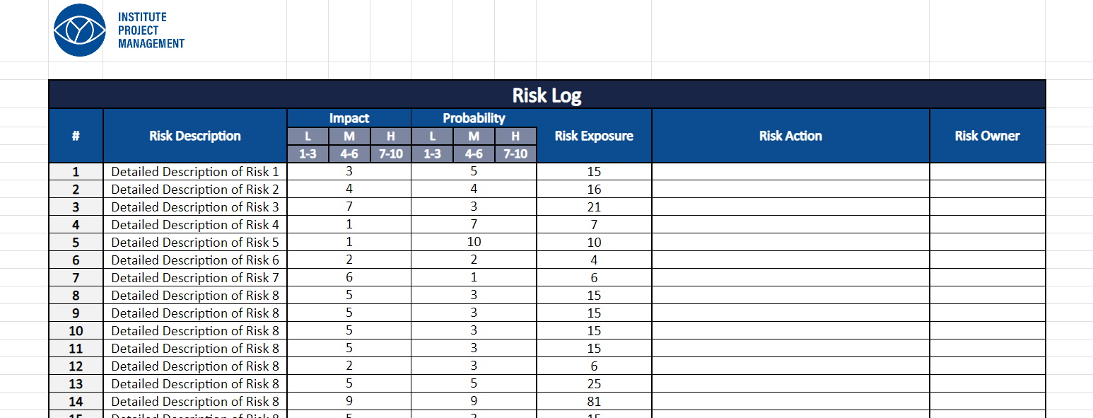 Risk Log Template IPM