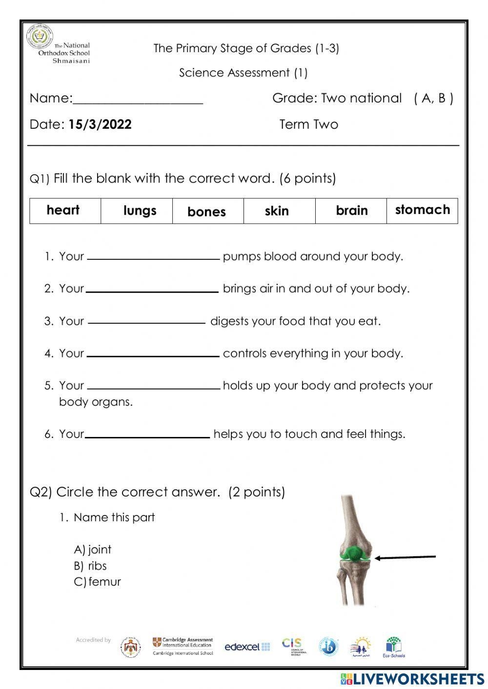 Science Grade 2 Assessment Worksheet Worksheets Library