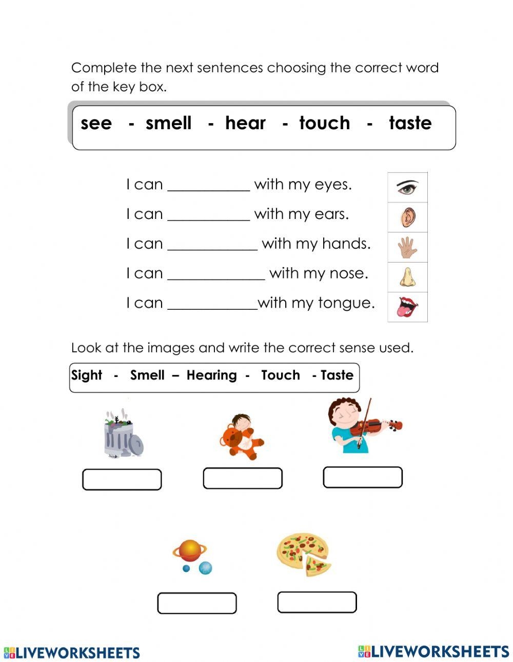 2nd grade science worksheets 2nd grade science worksheets