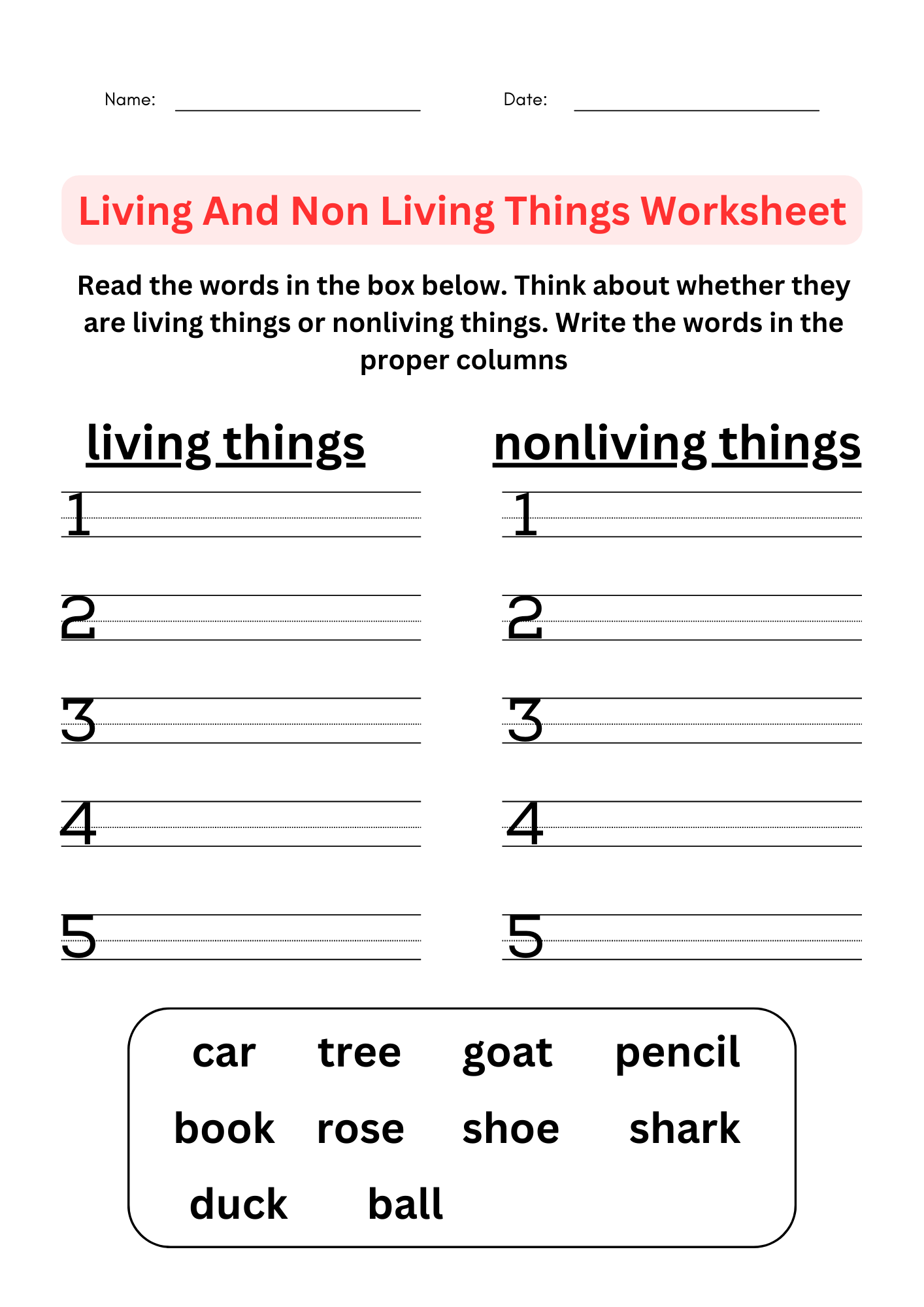 first grade science worksheets first grade science worksheets
