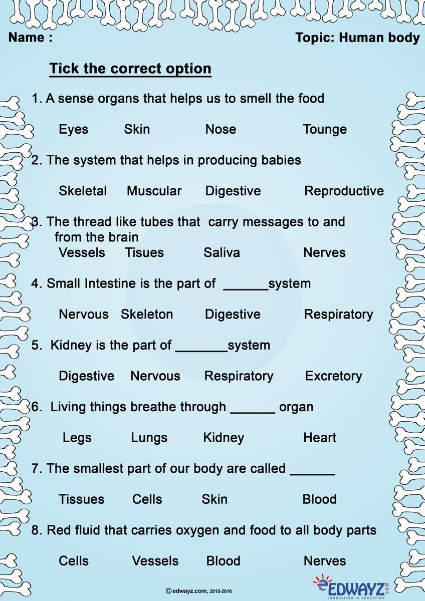Science Worksheets Class3 Simple Worksheet For Grade3 Kids On Human Body Science Worksheets Class3 Simple Worksheet For Grade3 Kids On Human Body