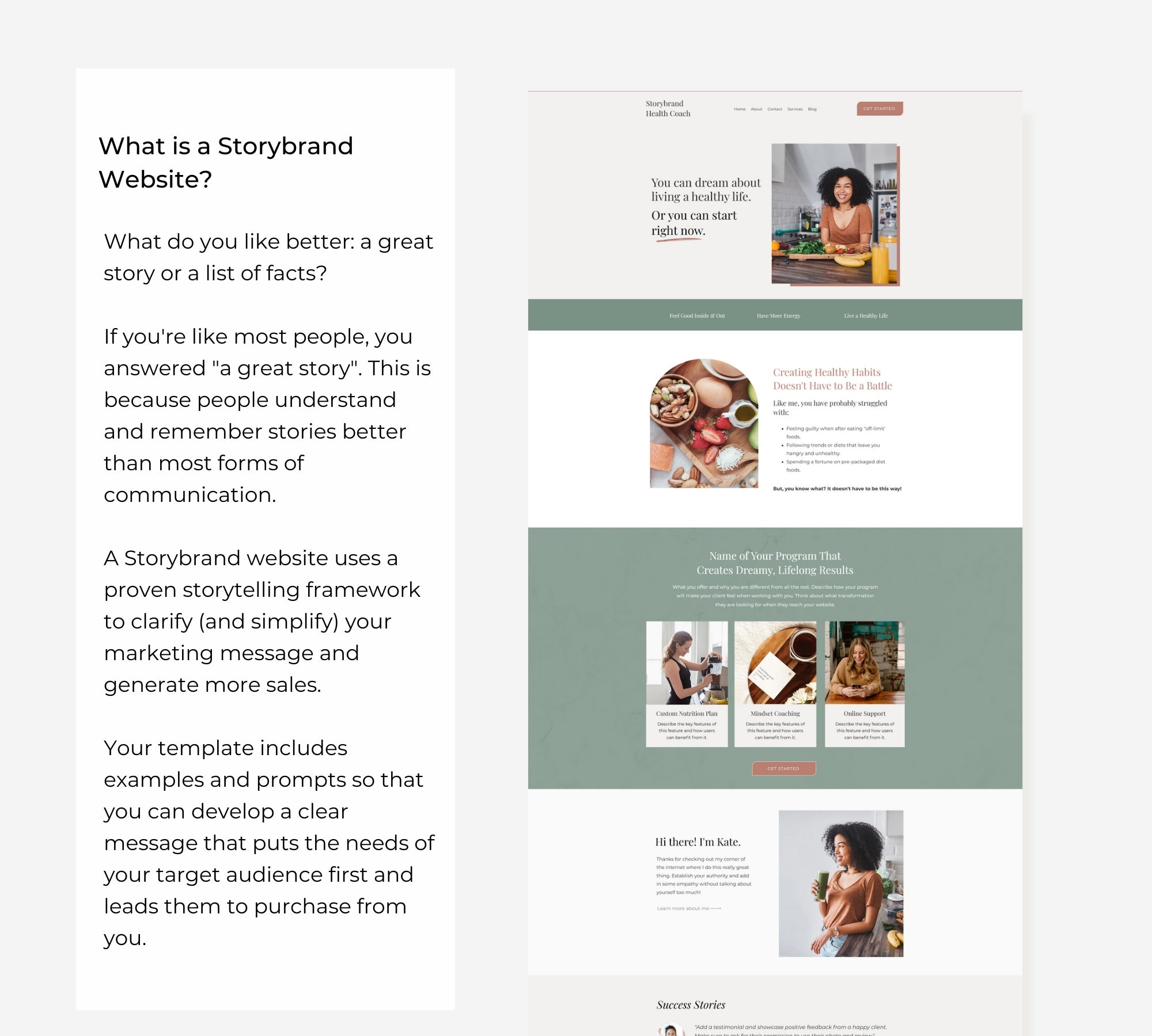 Storybrand Wix Website Template Health Life Coach Website Etsy