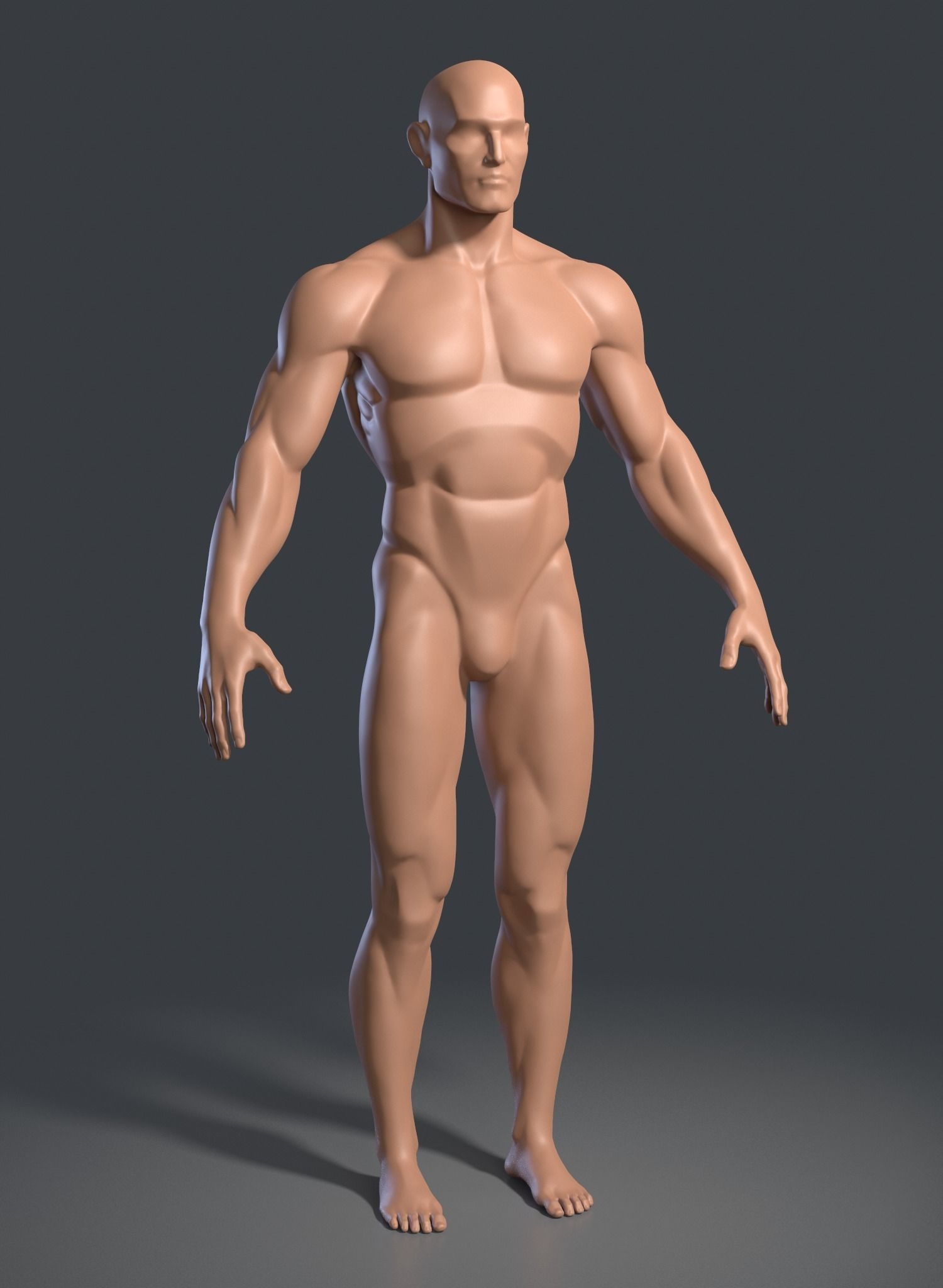 3d model male base template