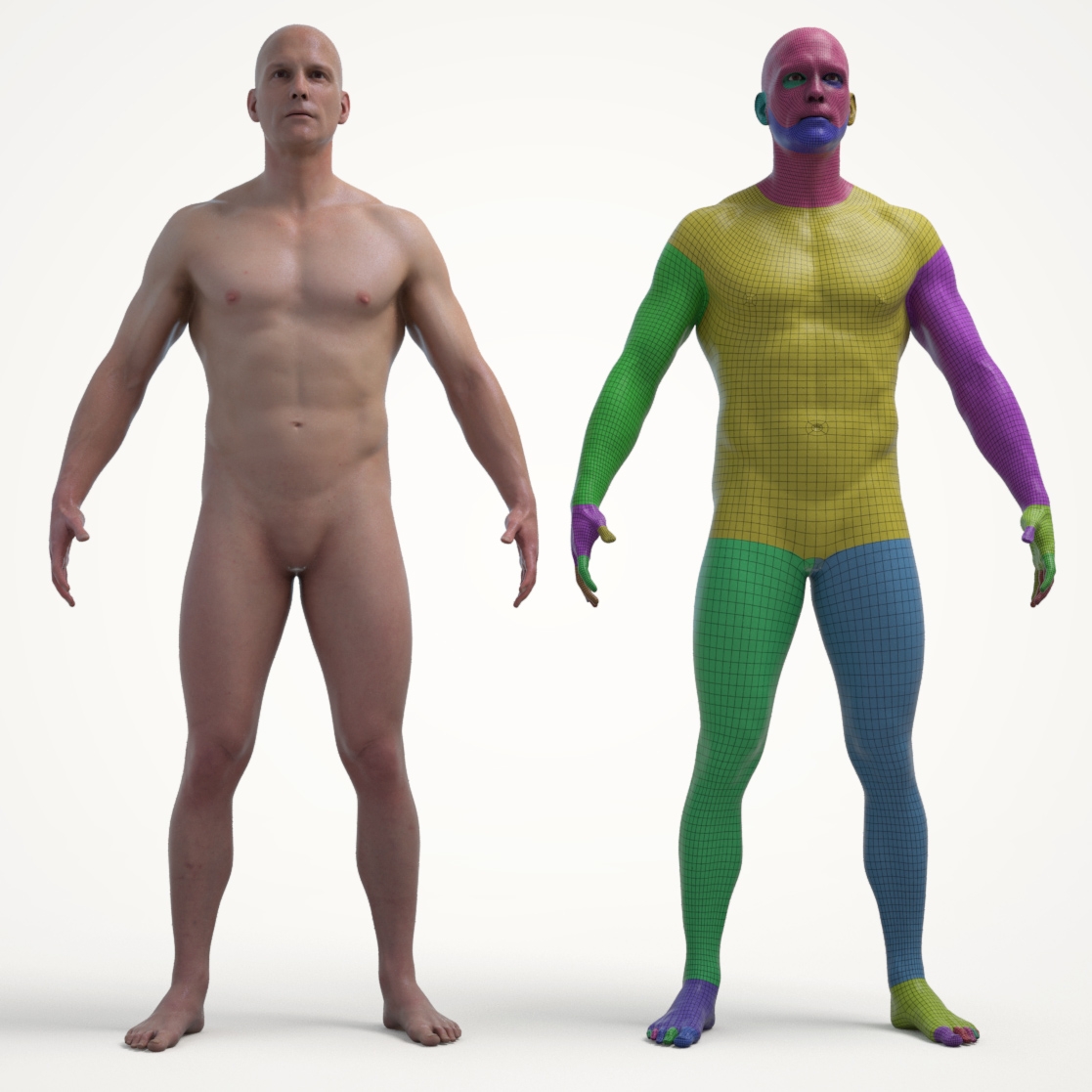 Textured Male Base Mesh