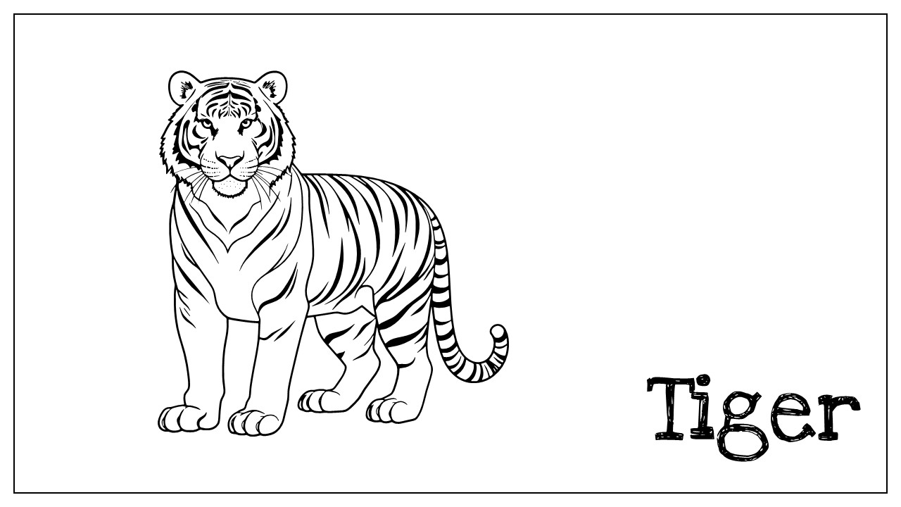 tiger coloring template