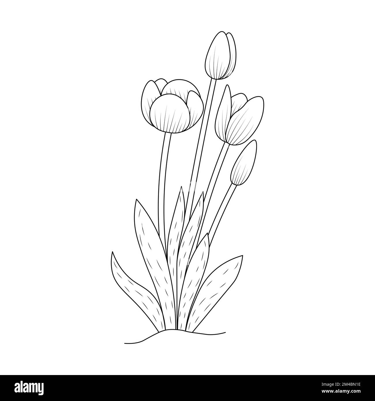 Tulip Flower Coloring Page Design For Book Printing Template Continuous Black Stroke Stock Vector Image Art Alamy