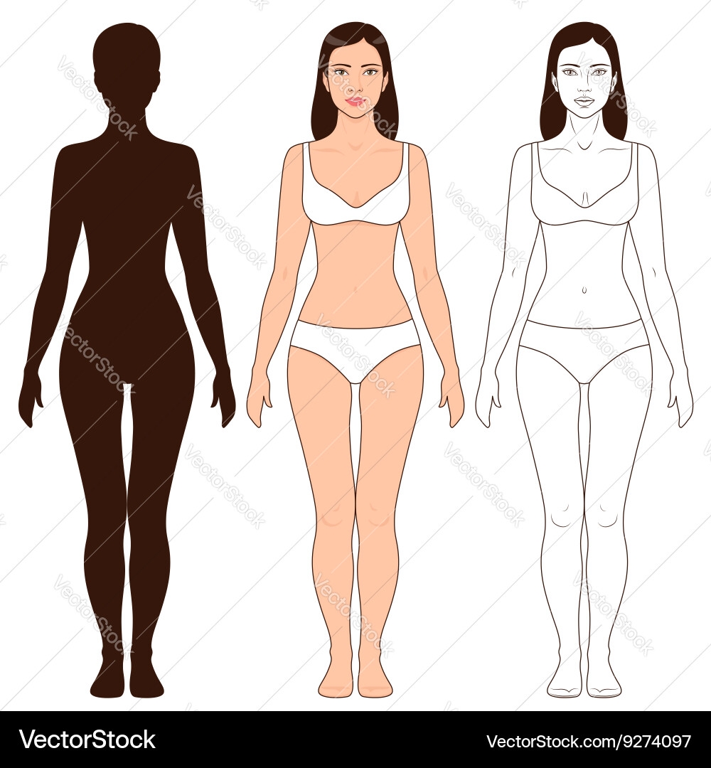 Woman Body Outline Template Royalty Free Vector VectorStock Woman Body Outline Template Royalty Free Vector VectorStock